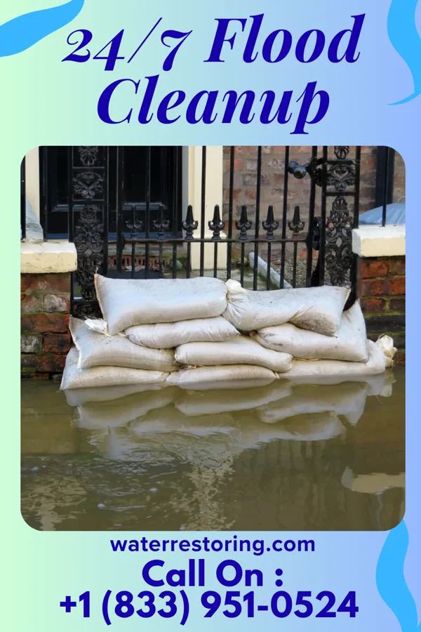 24/7 Flood Cleanup in Wallburg, NC