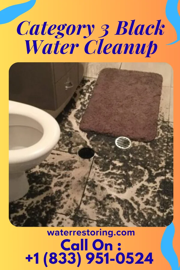 Category 3 Black Water Cleanup in Wallburg, NC