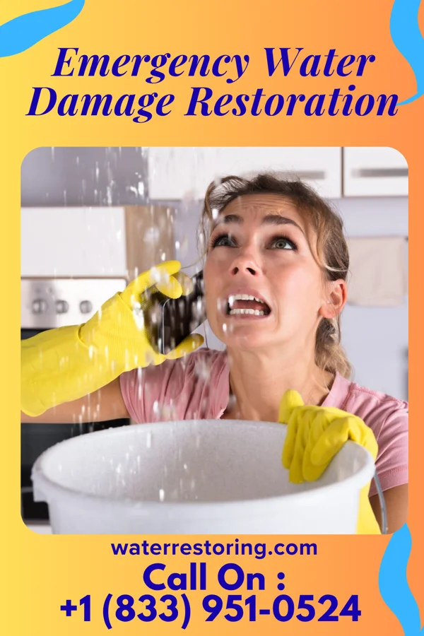 Emergency Water Damage Restoration in Wallburg, NC